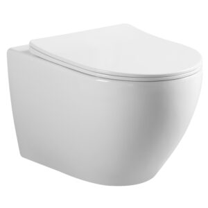 WC Suspendu